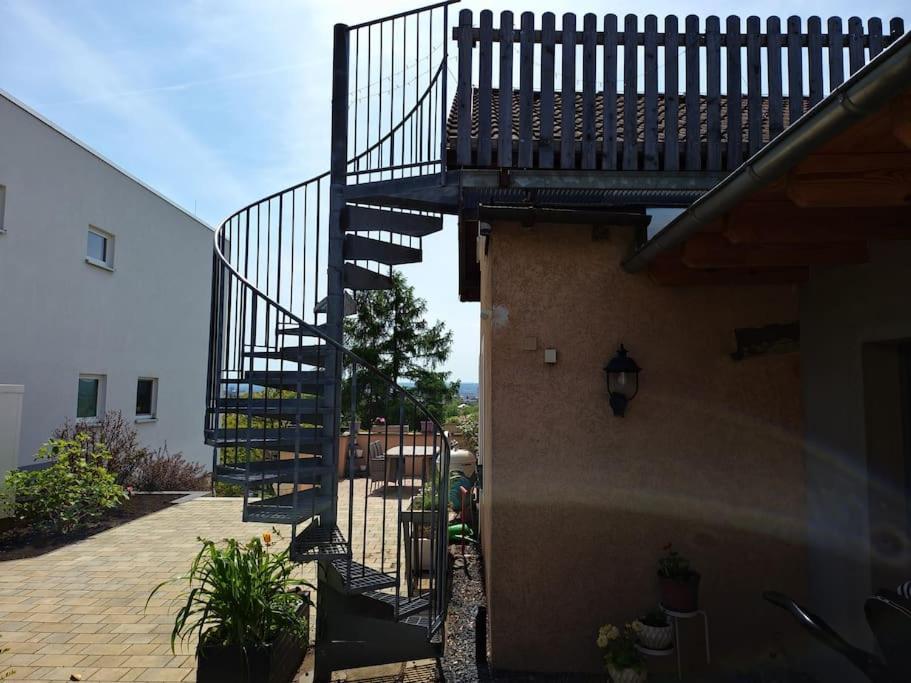 Blick Ueber Dresden - Terrasse - 3 Zimmer - Modern Renoviert ภายนอก รูปภาพ